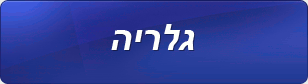 גלריה